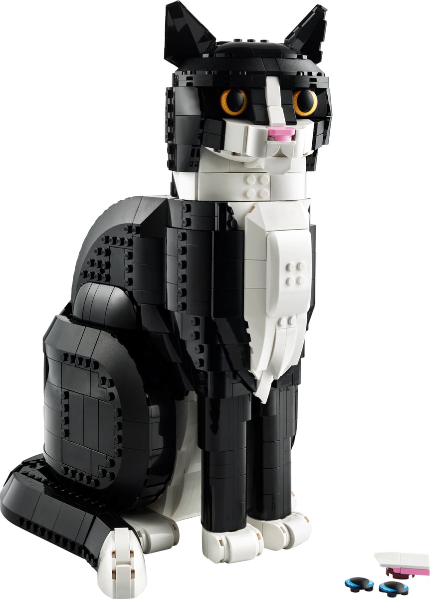 Ideas : le chat tuxedo