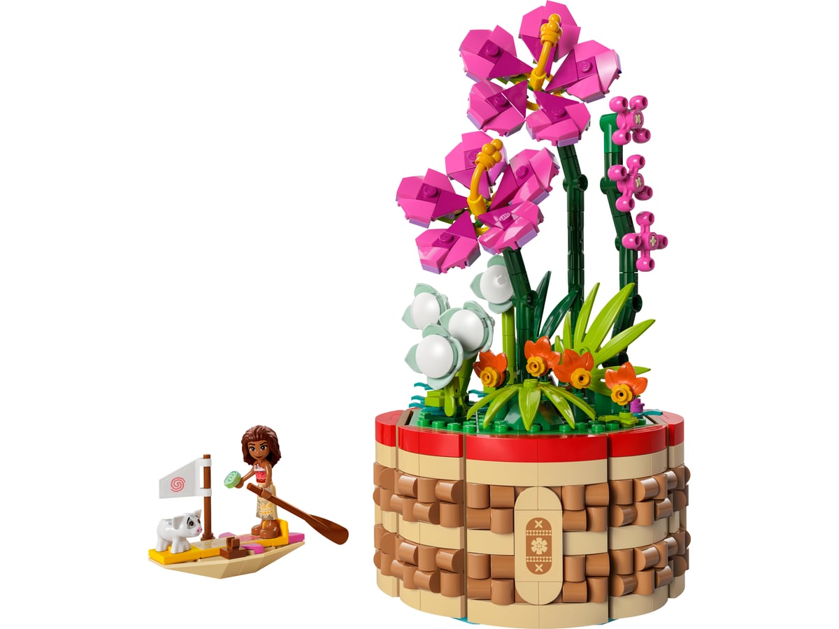 Disney: Moana’s Flowerpot