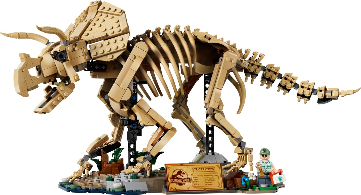 Jurassic World : fossiles de dinosaure : le tricératops