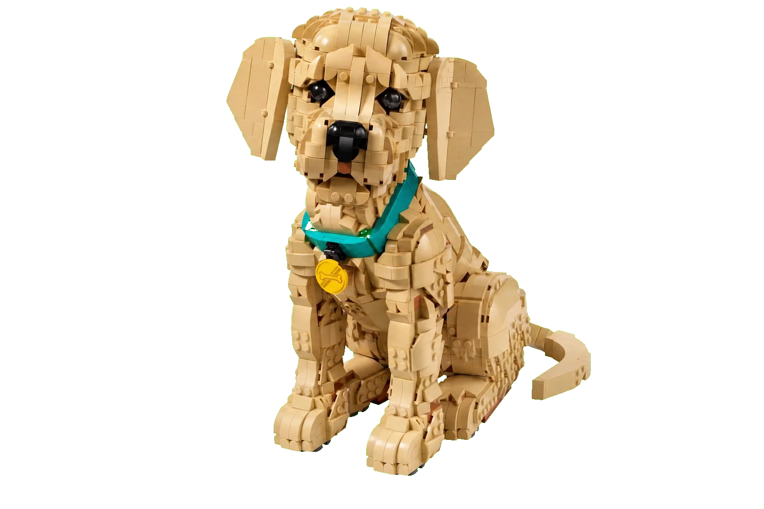 Golden Retriever Puppy