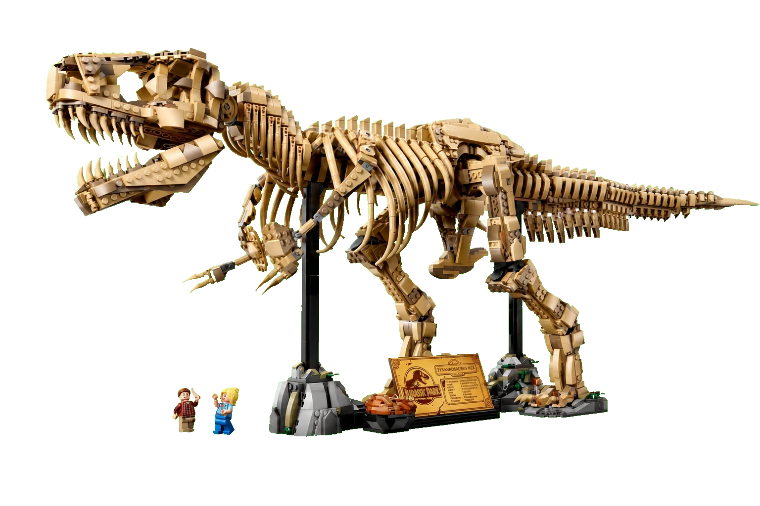 Jurassic World: Dinosaur Fossils - Tyrannosaurus Rex