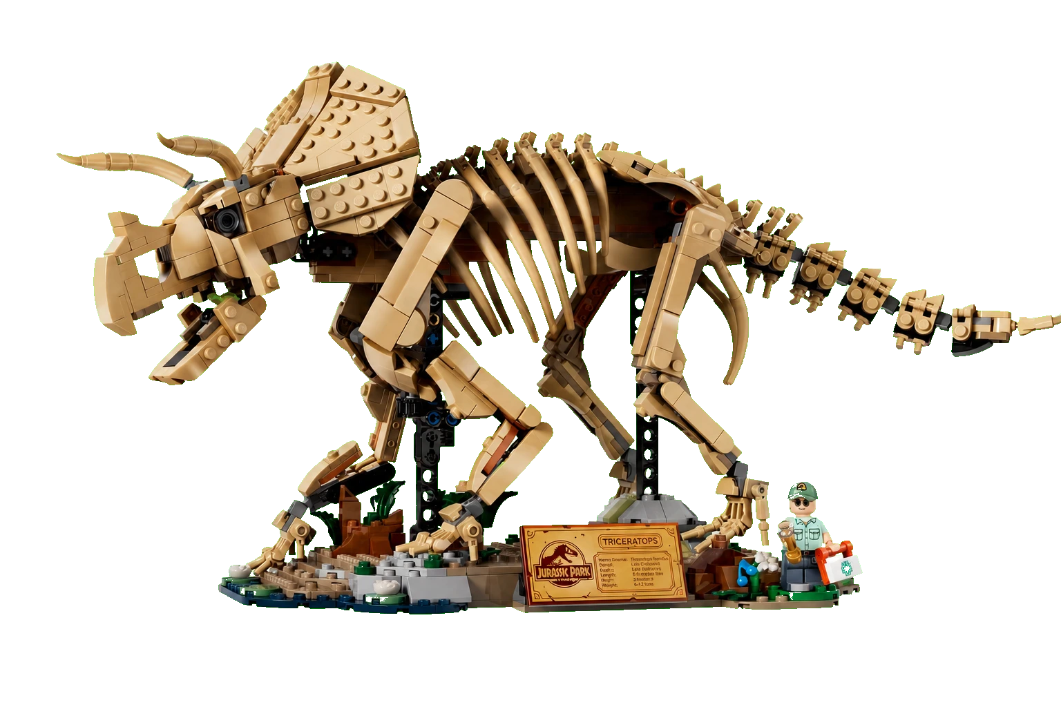 Jurassic World: Dinosaur Fossils: Triceratops